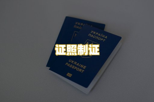 证照制证